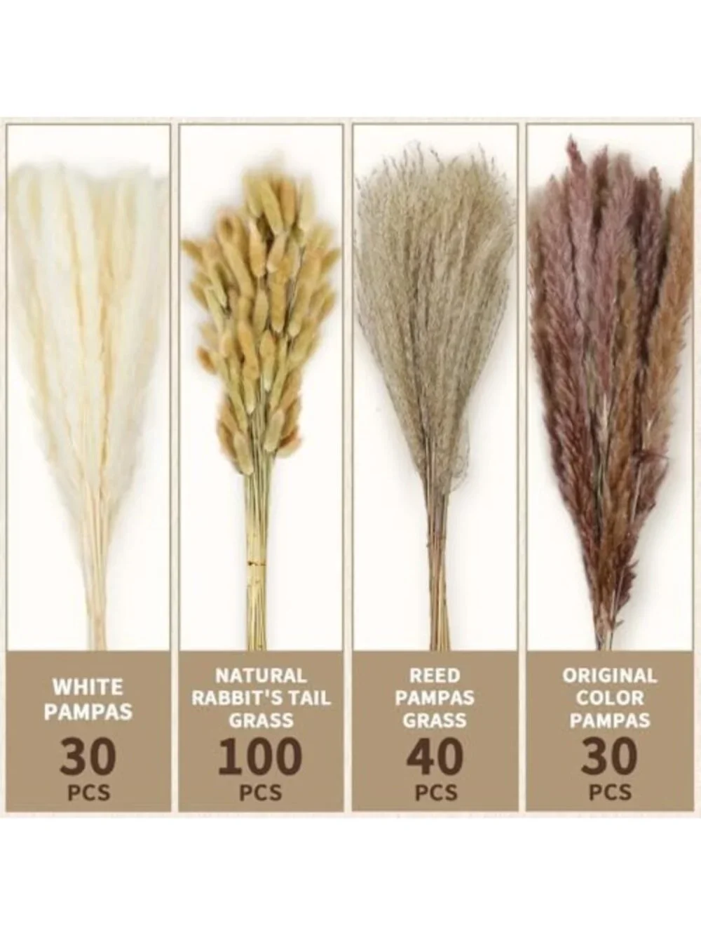 200 Pcs Dried Pampas Grass & Bunny Tails - Boho Home Decor, Rustic Wedding